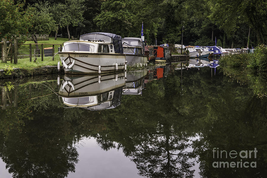 Tree Photograph - Goytre Wharf 1 by Steve Purnell