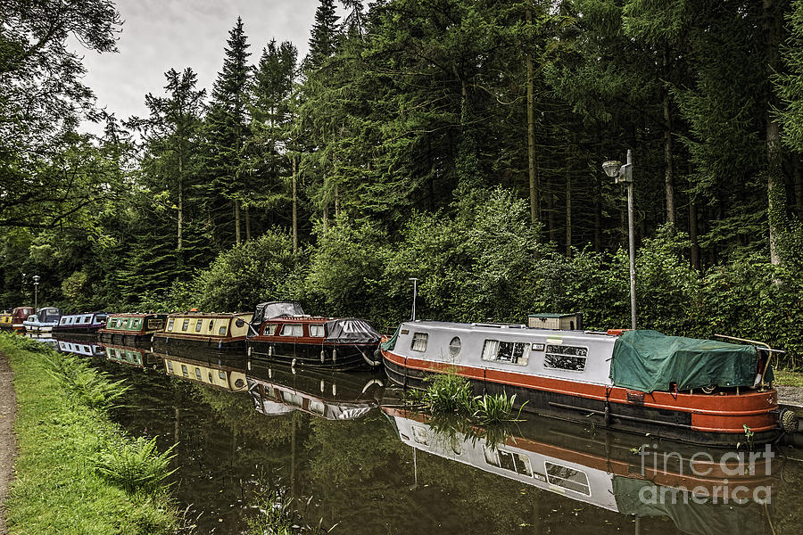 Tree Photograph - Goytre Wharf 3 by Steve Purnell