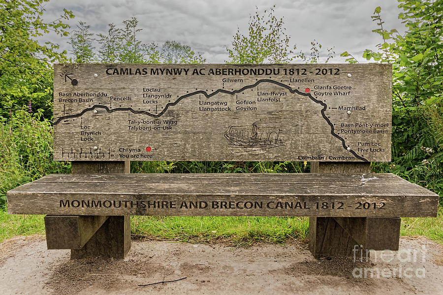 Tree Photograph - Goytre Wharf Seat Map by Steve Purnell