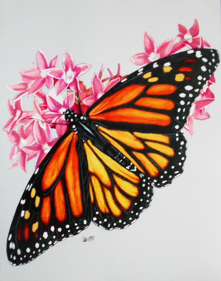 Butterfly Mixed Media - Grace by Barbara Keith
