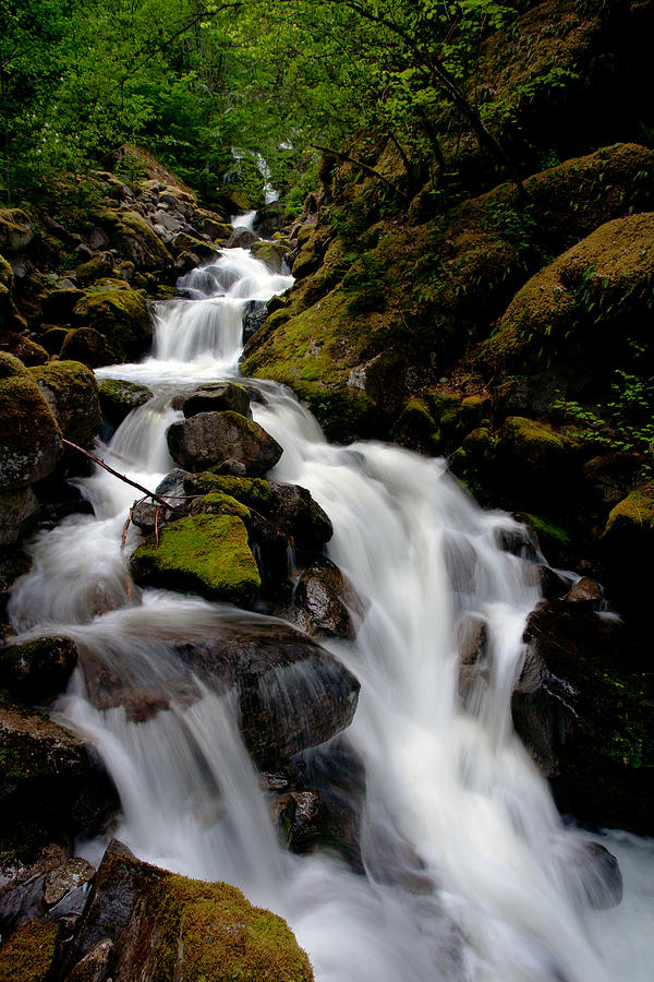 Nature Photograph - Graceful Falls by Mike Reid