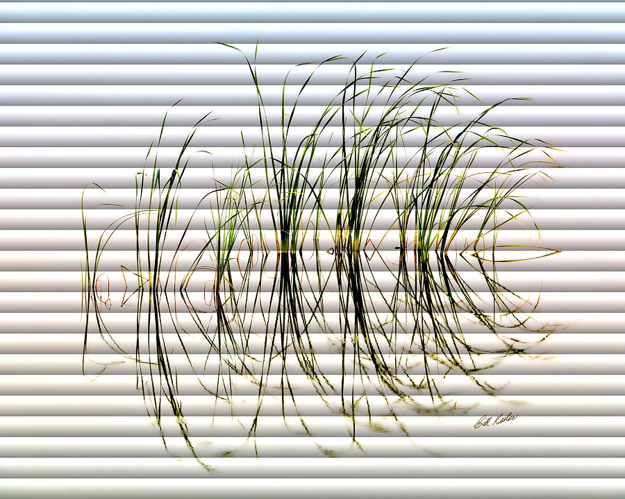 Bill Kessler Photograph - Graceful Grass - The Slat Collection by Bill Kesler