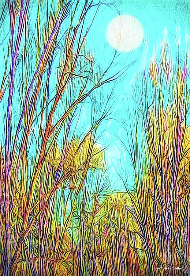 Graceful Moonlit Trees Digital Art by Joel Bruce Wallach