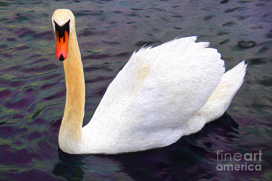 Up Movie Digital Art - Graceful Swan by Mariola Bitner
