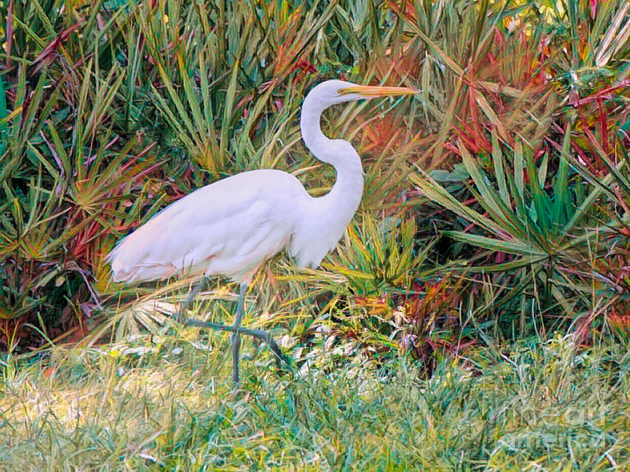 Graceful Walk in the Glades Painting by Judy Kay