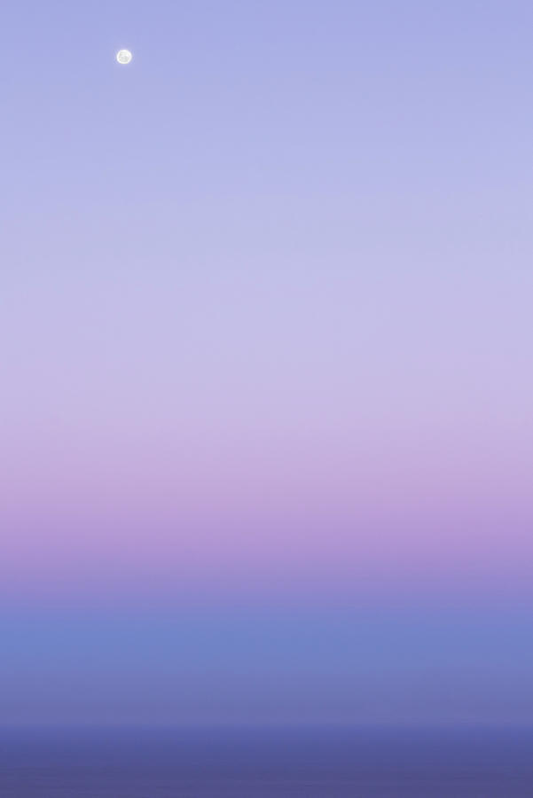 Gradient Photograph by Nicholas Blackwell
