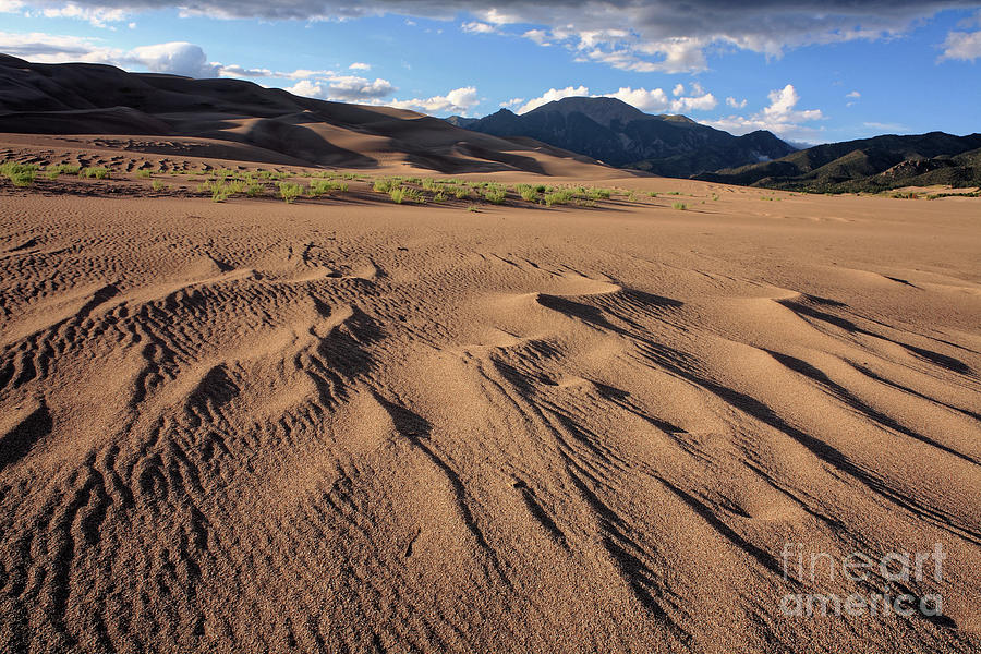 Great Sand Dunes N.P., Colorado, USA Photograph by Kevin Shields