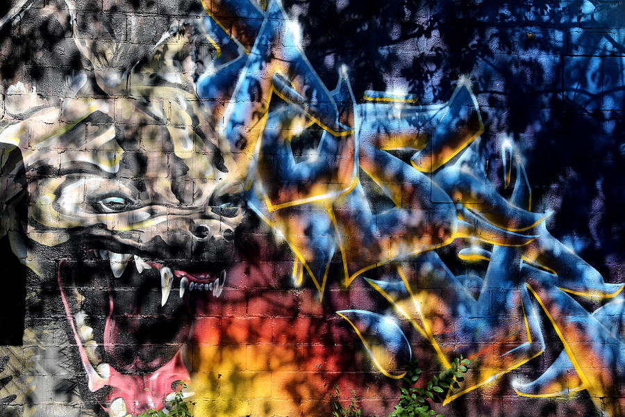 Graffiti 12 Photograph by Andrew Fare