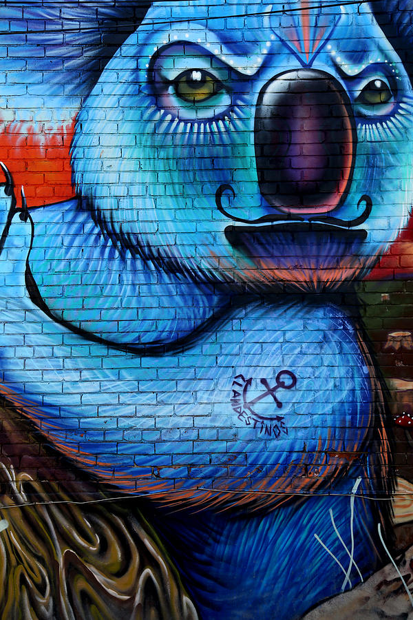 Graffiti 29 Photograph by Andrew Fare