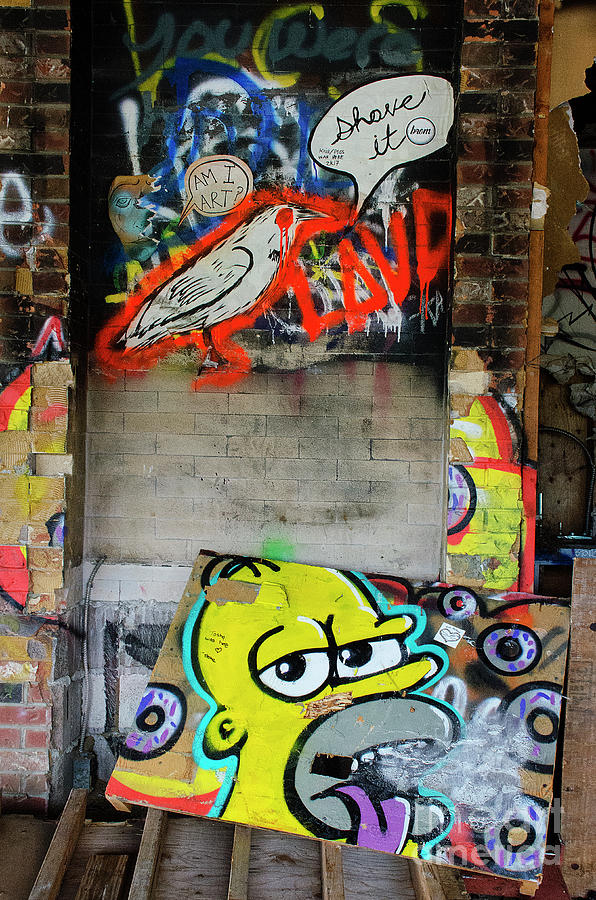 Graffiti 5 Photograph by Bob Christopher