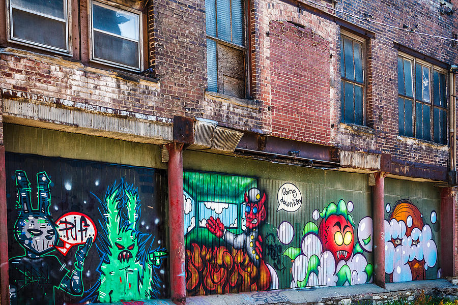 Graffiti Alley Photograph by Steven Bateson