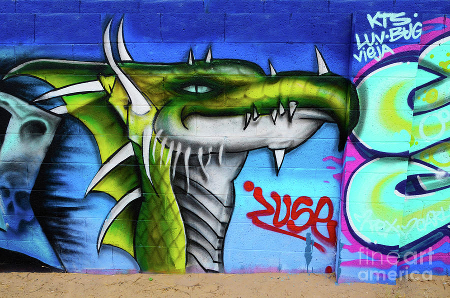 Graffiti Art Albuquerque New Mexico 6 Photograph by Bob Christopher