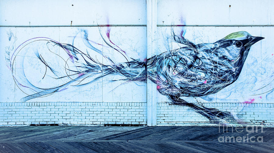 Graffiti Bird Photograph by Colleen Kammerer
