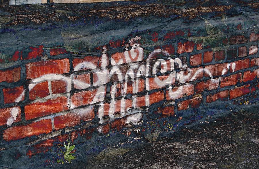 Brick Photograph - Graffiti by Cathie Tyler