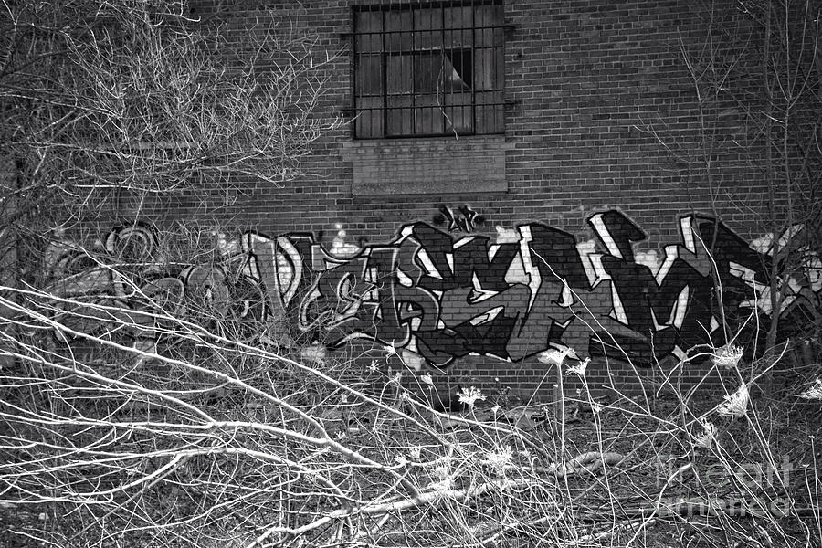 Graffiti CCCLXXIII Photograph by FineArtRoyal Joshua Mimbs