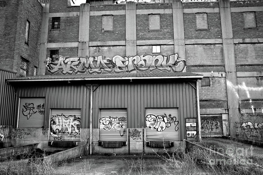 Graffiti CDXLIX Photograph by FineArtRoyal Joshua Mimbs