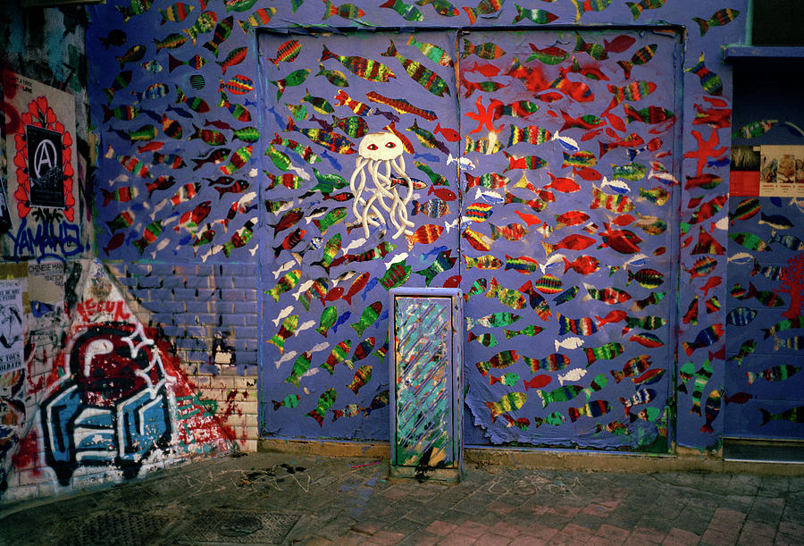 Graffiti Fish Photograph by Shaun Higson