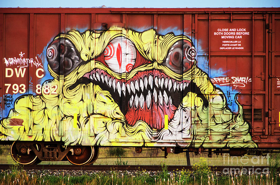 Graffiti Genius 7 Photograph by Bob Christopher