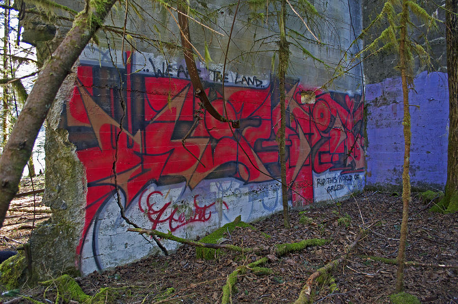 Graffiti in Red Photograph by Cathy Mahnke