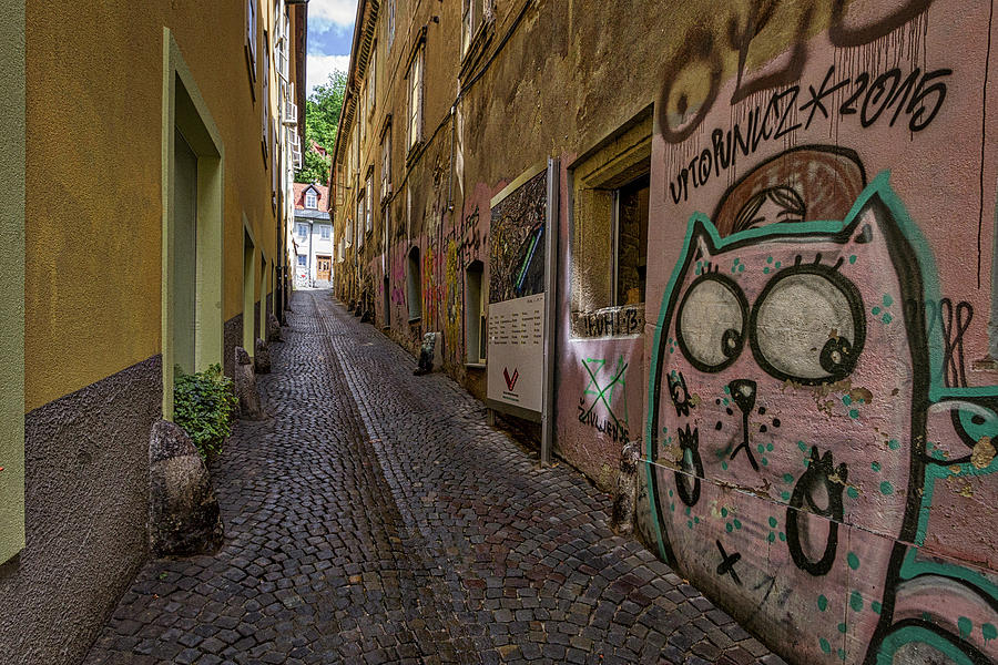 Graffiti in the Alley - Slovenia Photograph by Stuart Litoff