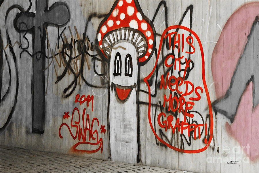 Graffiti Photograph by Jutta Maria Pusl