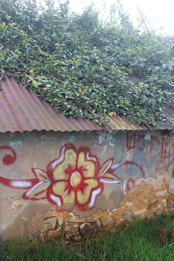 Flowers Still Life Photograph - Graffiti, Kodaikanal by Jennifer Mazzucco