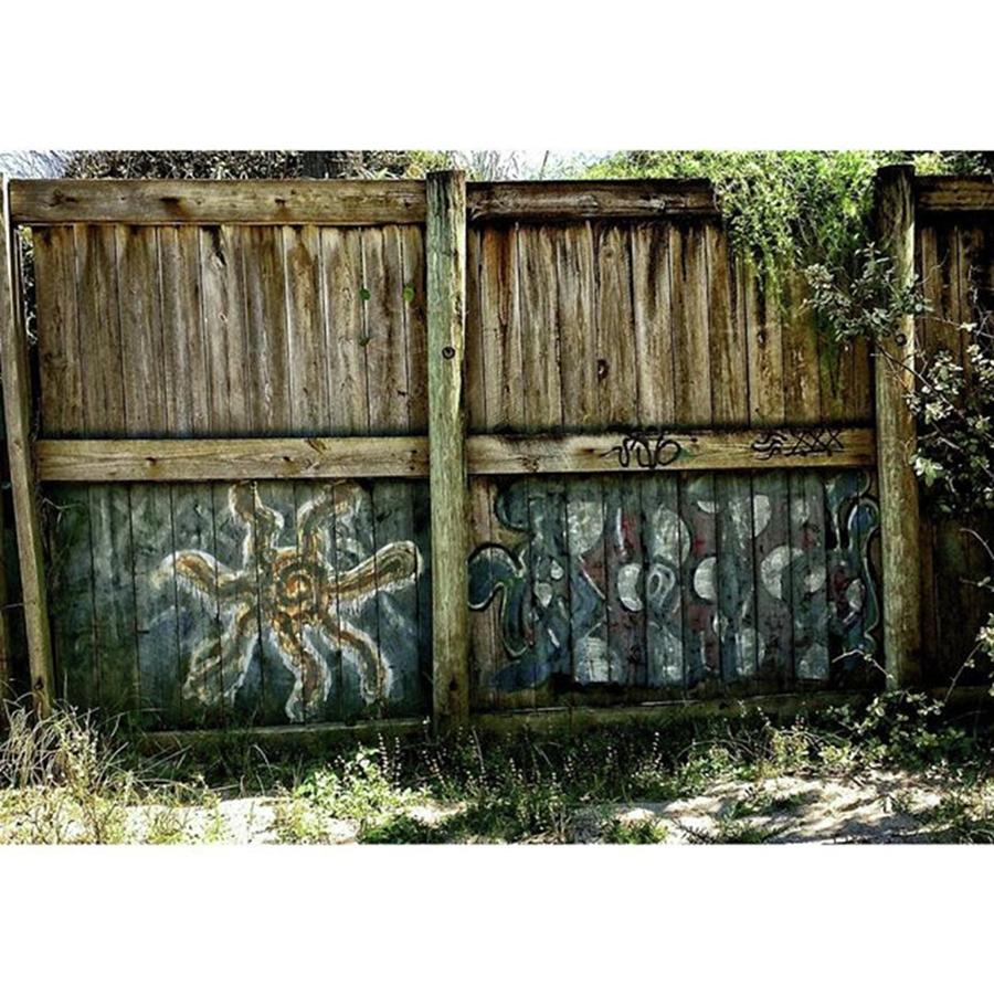 Graffiti Photograph - Graffiti On A Fence  by Marvin Reinhart