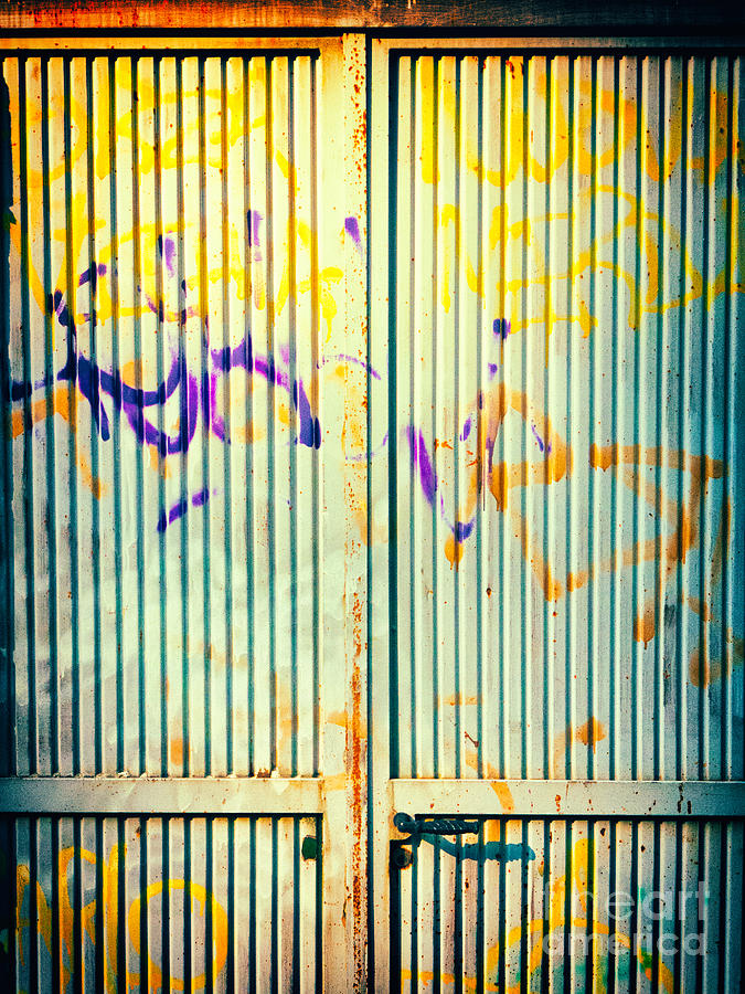 Graffiti on iron door Photograph by Silvia Ganora