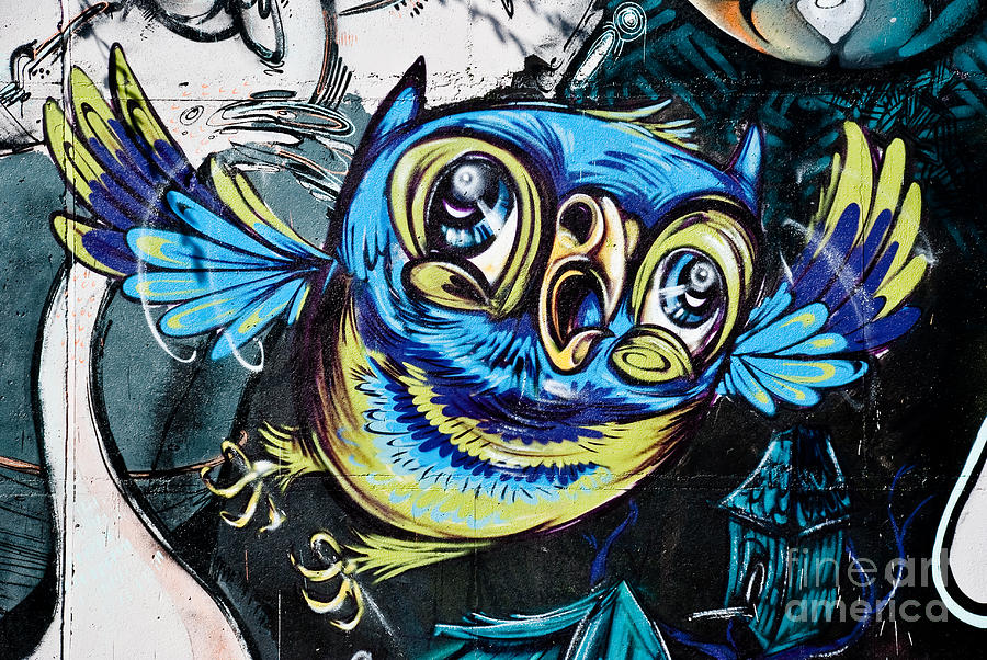 Graffiti Owl Painting by Yurix Sardinelly