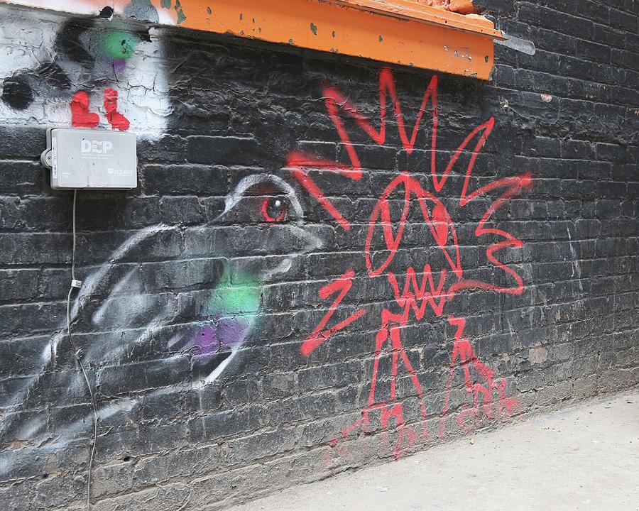 Graffiti Pigeon Photograph by Amy Stark - Fine Art America