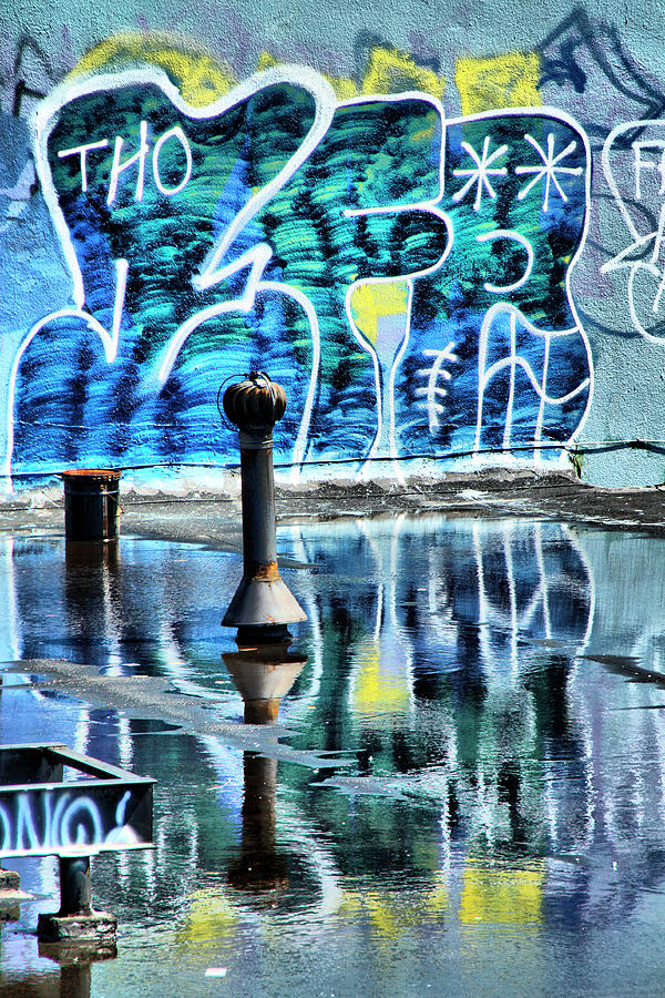 Graffiti Reflections Photograph by Cate Franklyn