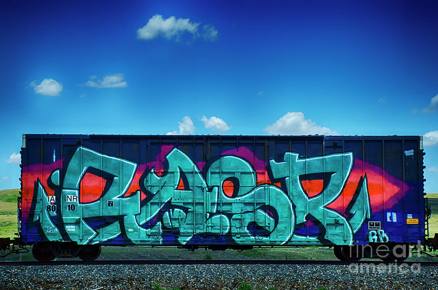 Train Photograph - Graffiti Riding The Rails 11 by Bob Christopher
