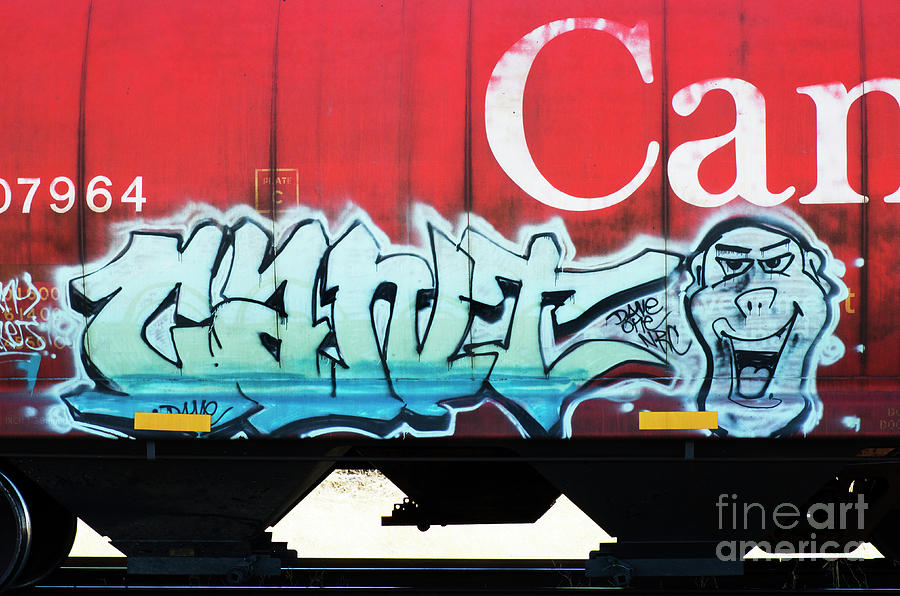 Graffiti Riding The Rails 3 Photograph by Bob Christopher