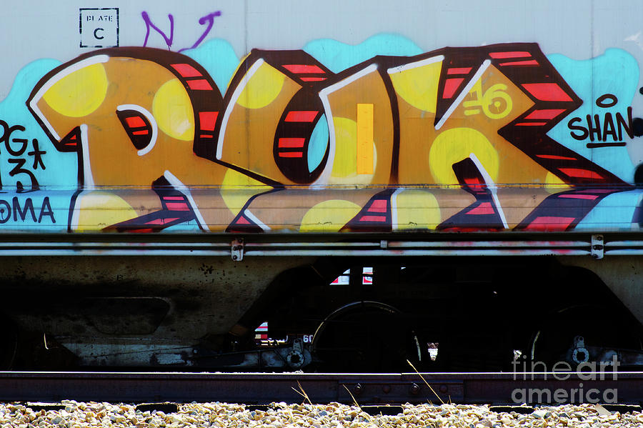 Graffiti Riding The Rails 5 Photograph by Bob Christopher