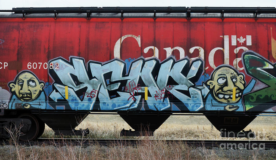 Graffiti Riding The Rails 6 Photograph by Bob Christopher