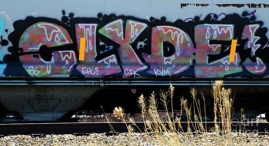 Graffiti Riding The Rails 9 Photograph by Bob Christopher