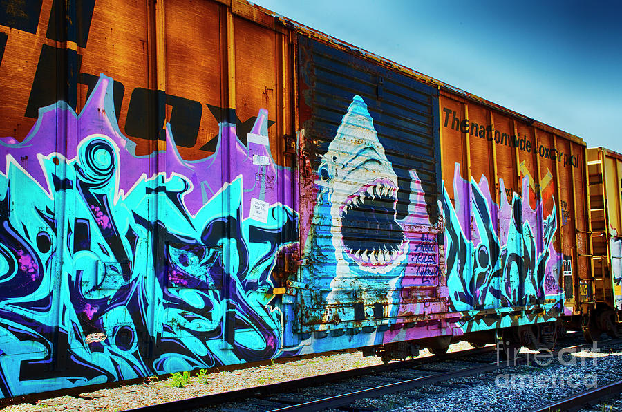 Graffiti Riding The Rails Photograph by Bob Christopher