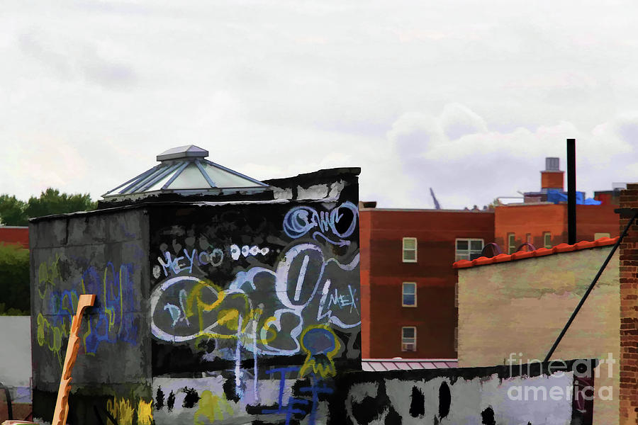 Graffiti Roof Top New York City  Photograph by Chuck Kuhn