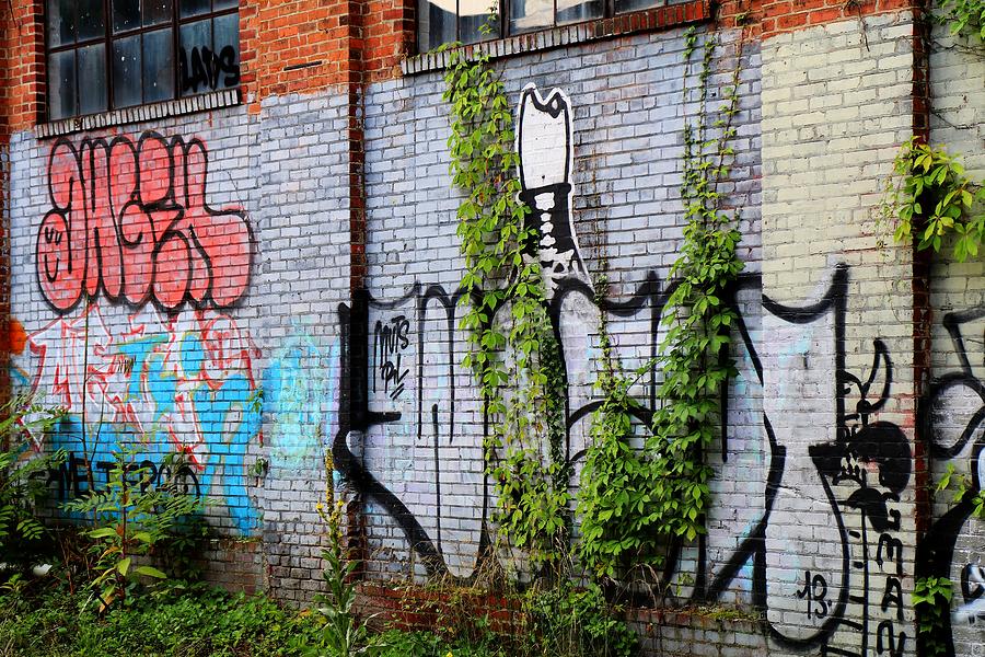 Graffiti Sprawl Photograph by Carol Montoya
