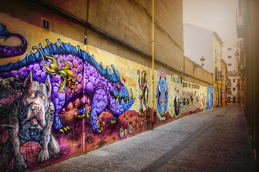 Graffiti Street in Valencia Spain  Photograph by Carol Japp