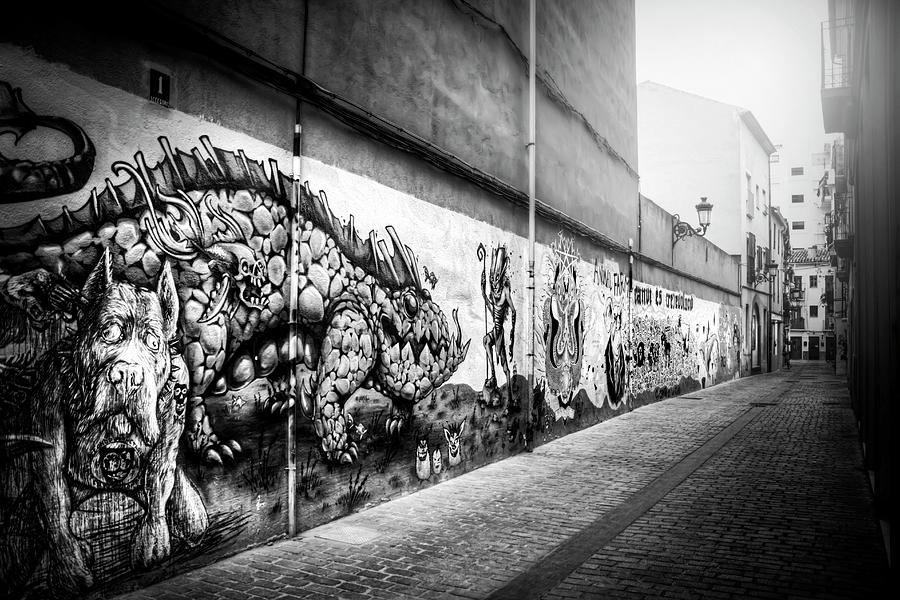 Architecture Photograph - Graffiti Street Valencia Spain in Black and White  by Carol Japp