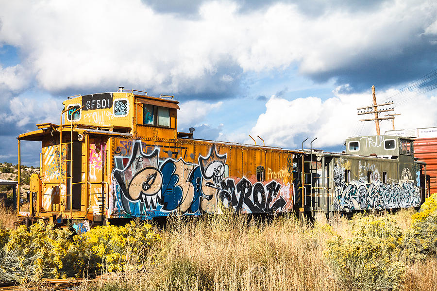 Flower Photograph - Graffiti Train by Steven Bateson