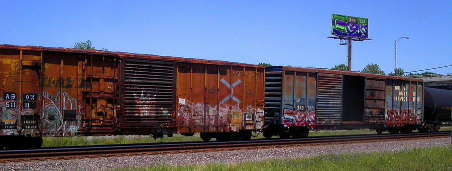 Graffiti Train with billboard Photograph by Anne Cameron Cutri