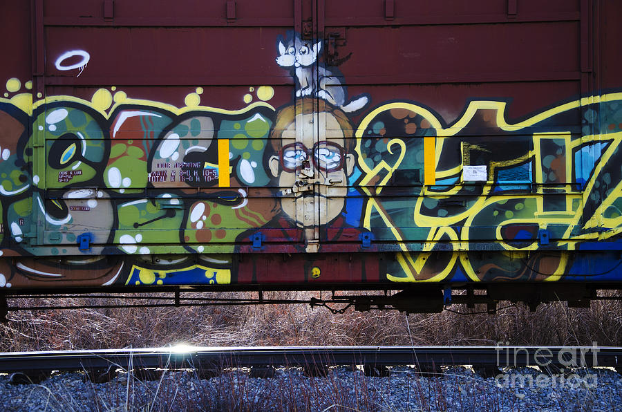 Grafitti Art Riding The Rails 10 Photograph by Bob Christopher