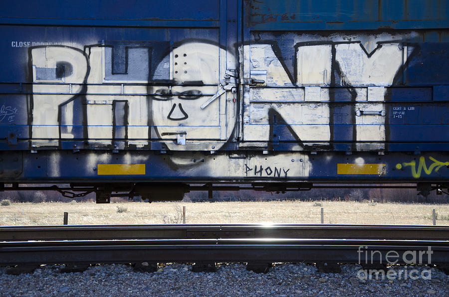 Train Photograph - Grafitti Art Riding The Rails 4 by Bob Christopher
