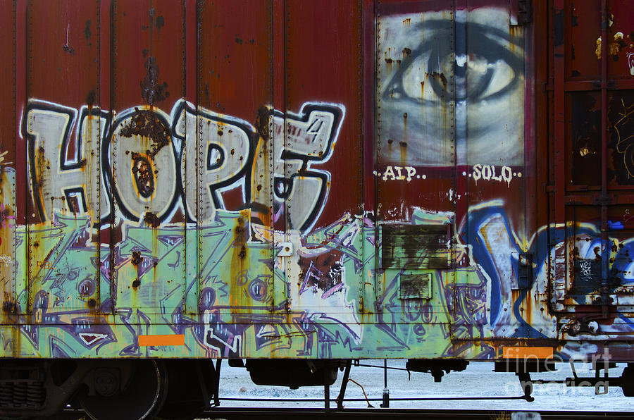 Grafitti Art Riding The Rails 6 Photograph by Bob Christopher