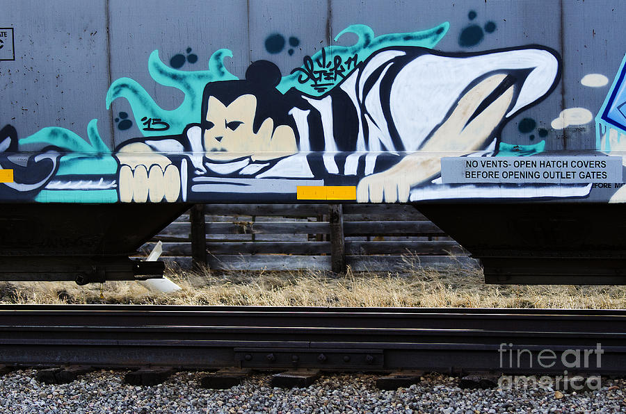 Grafitti Art Riding The Rails Photograph by Bob Christopher