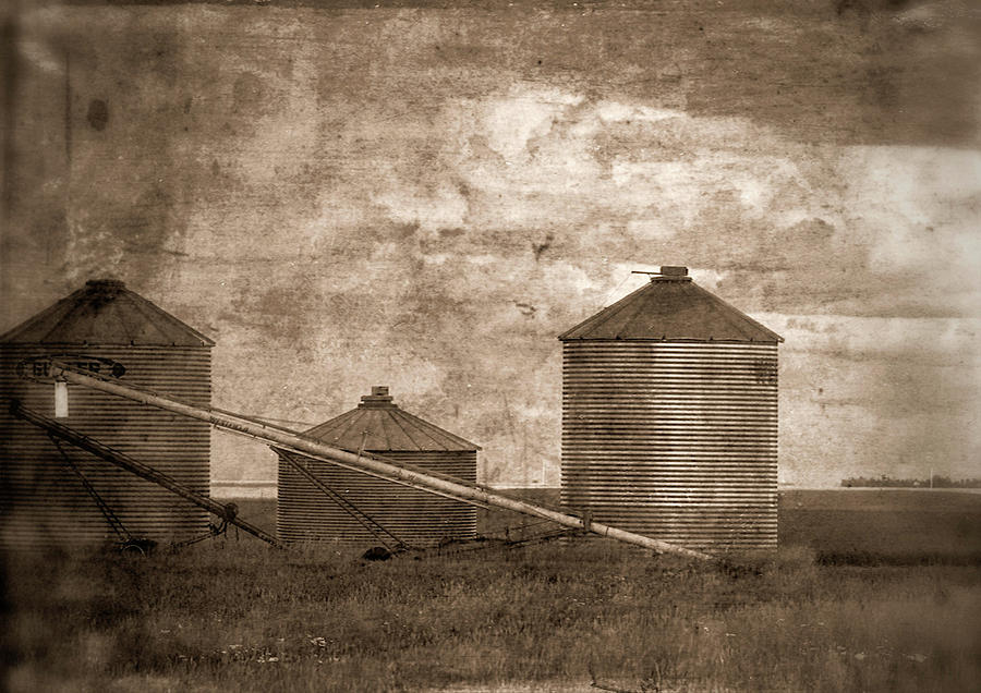 Grain Bins south of Fallon Photograph by Scott Carlton