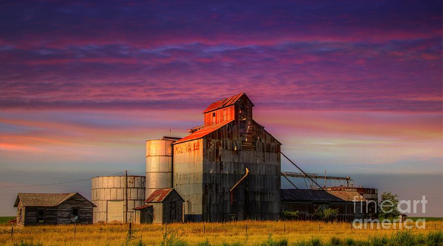 Amarillo Photograph - Grain Elevator in the Panhandle by Lisa Hurylovich