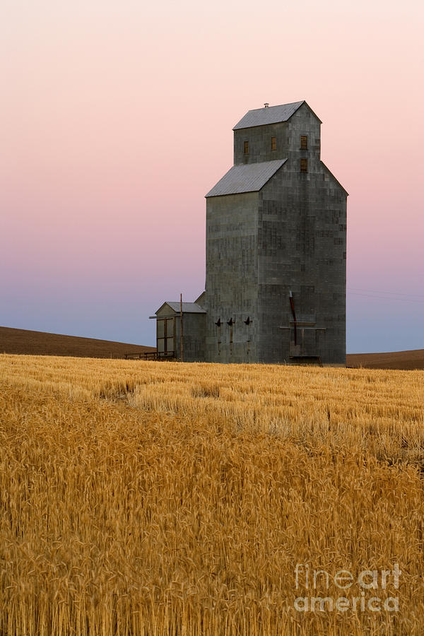 Grain Elevator Photograph by Inga Spence